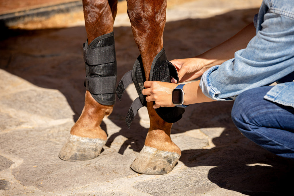 PROTECTORES CON IMANES MANOS
