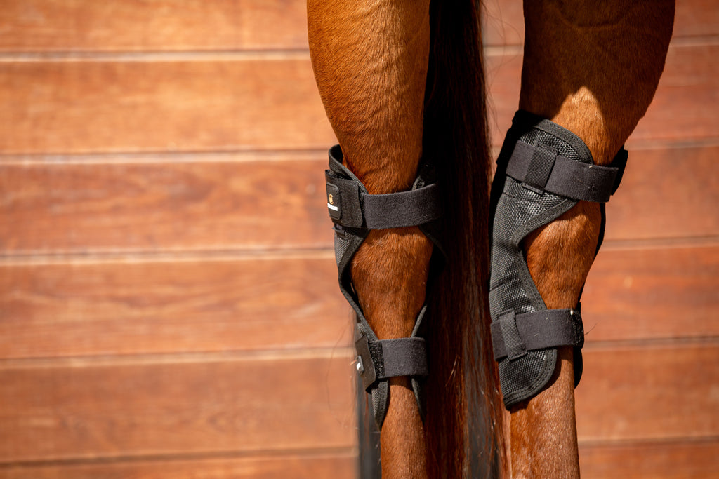 PROTECTORES CON IMANES CORVEJONES