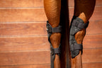 PROTECTORES CON IMANES CORVEJONES
