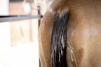 SHAMPOO CRIN Y COLA