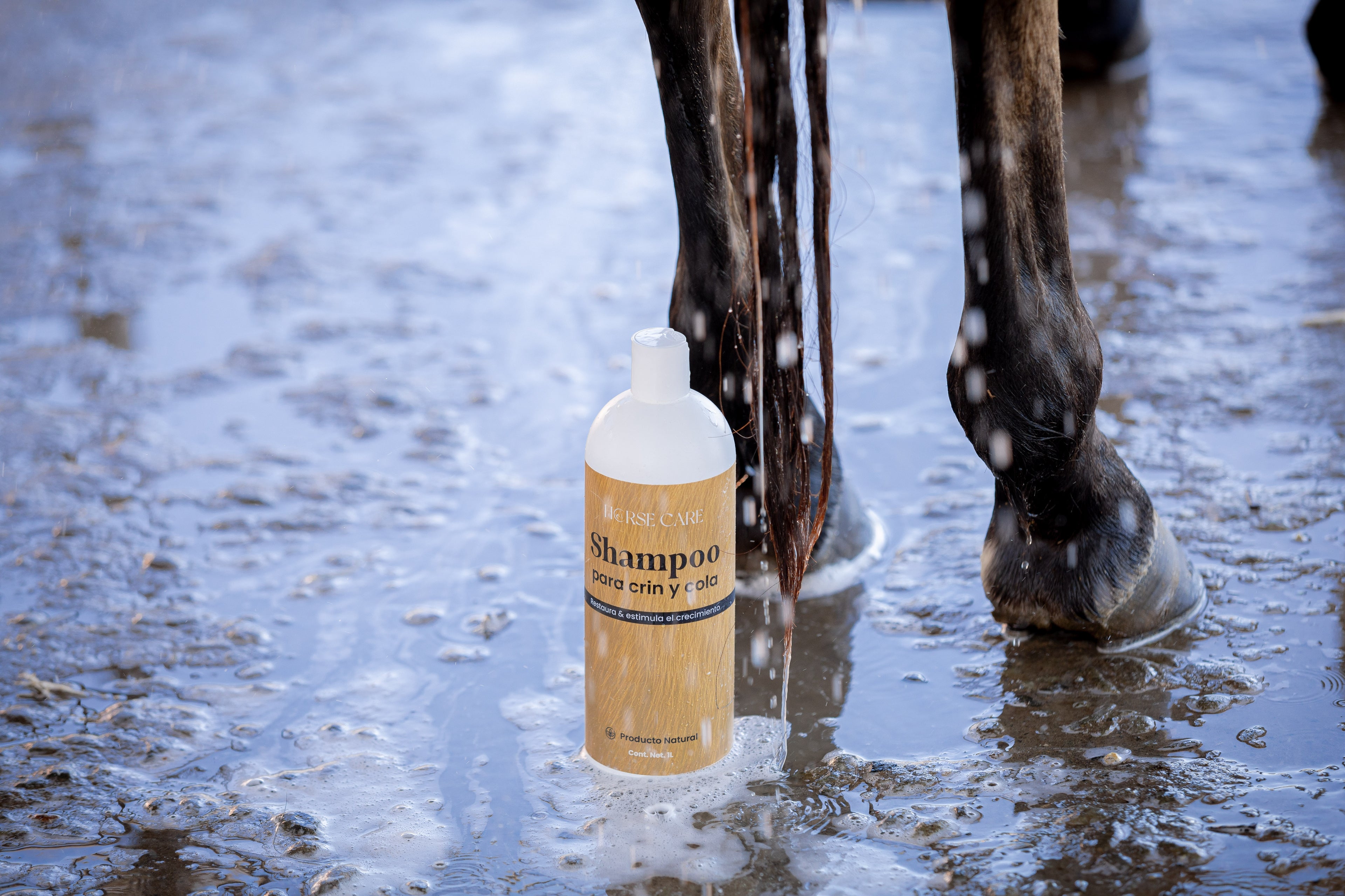 SHAMPOO CRIN Y COLA