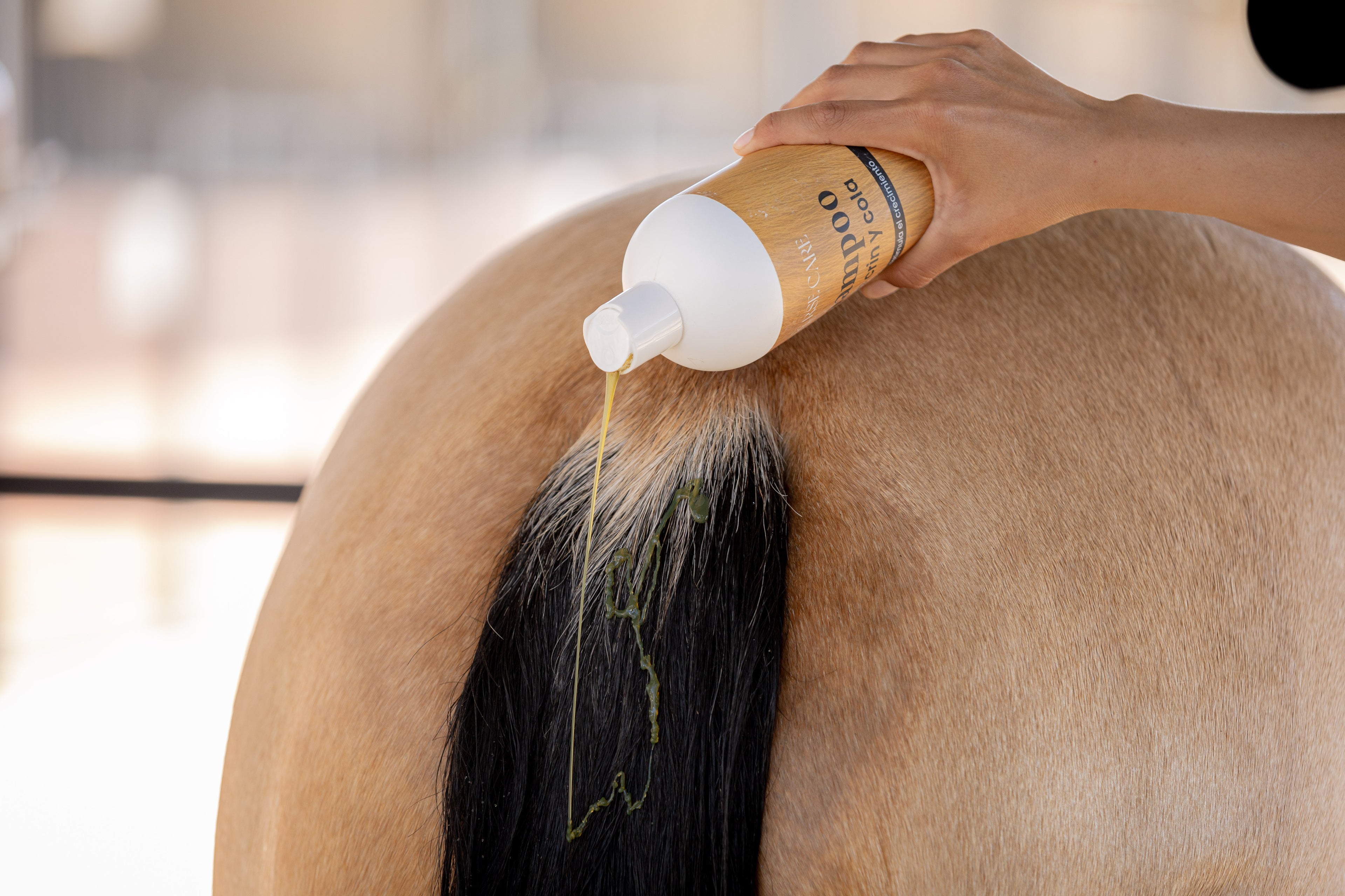 SHAMPOO CRIN Y COLA