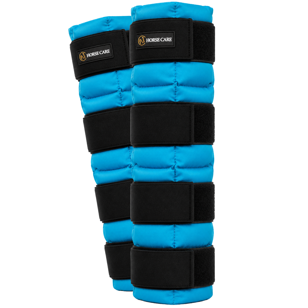 ICE BOOT