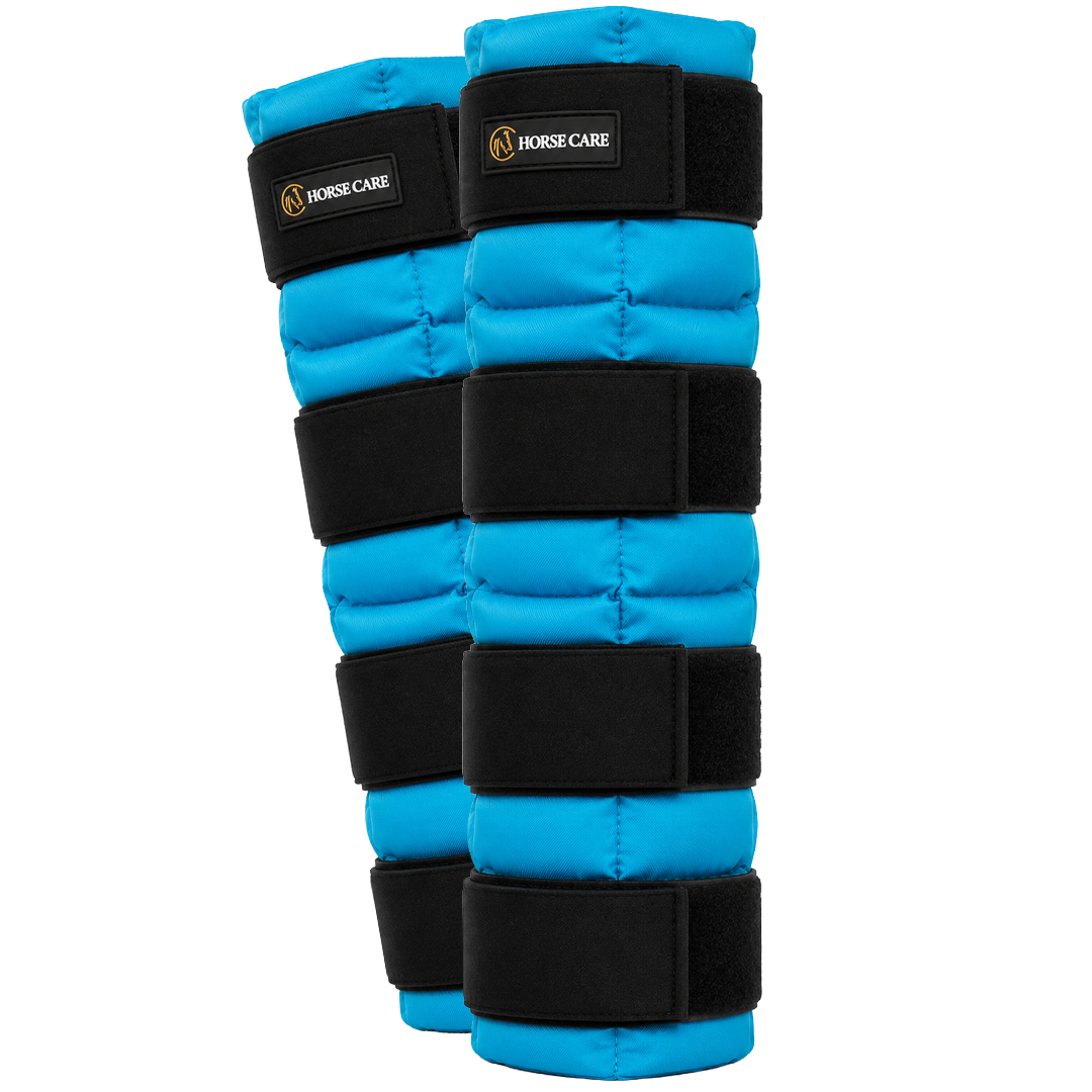 ICE BOOT