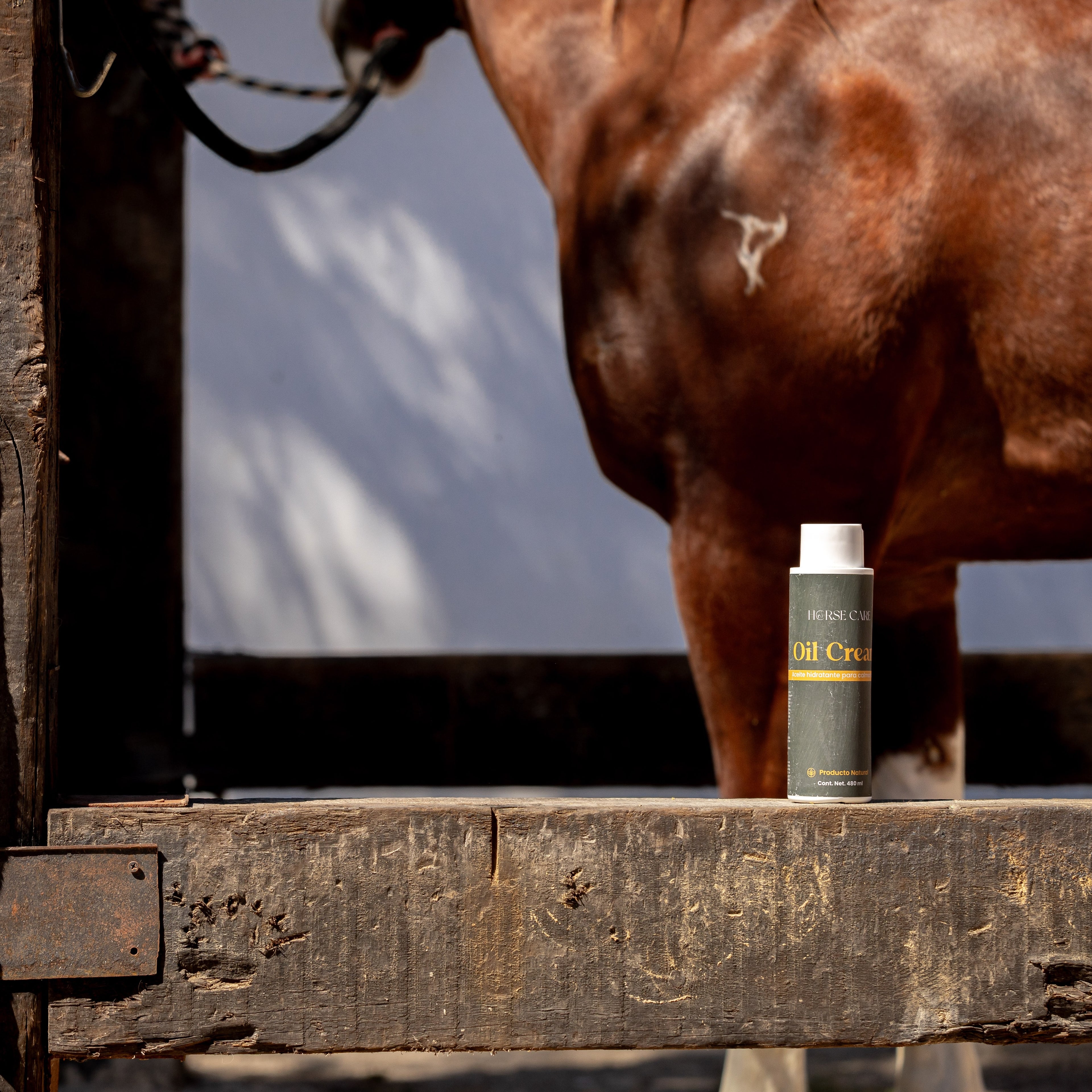 Oil Cream